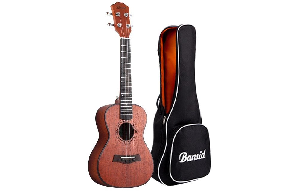 BANSID 23