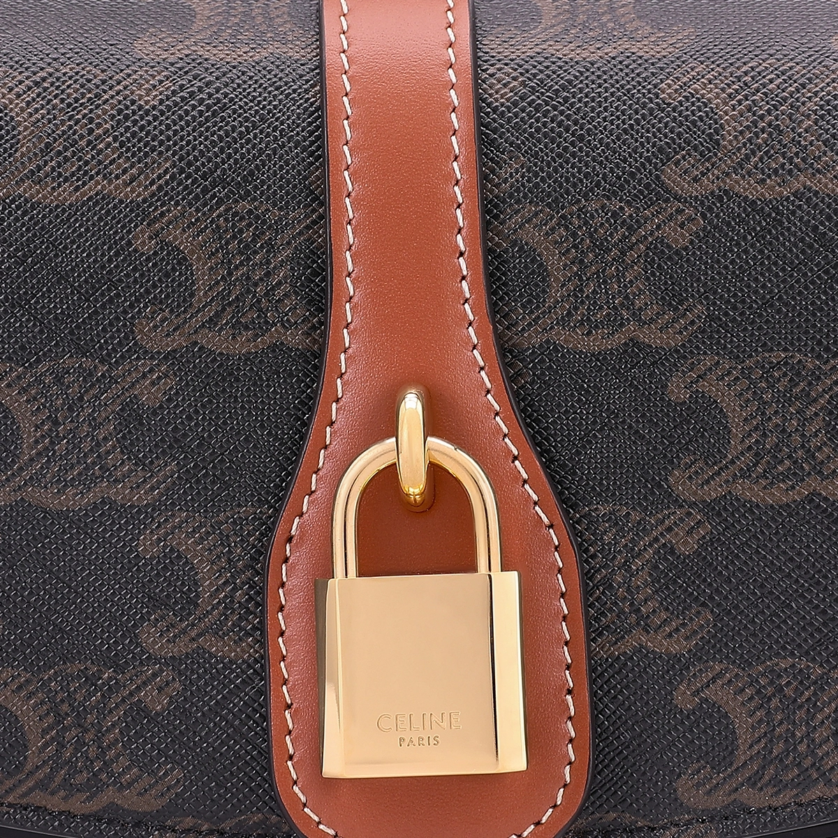 CELINE Triomphe Canvas