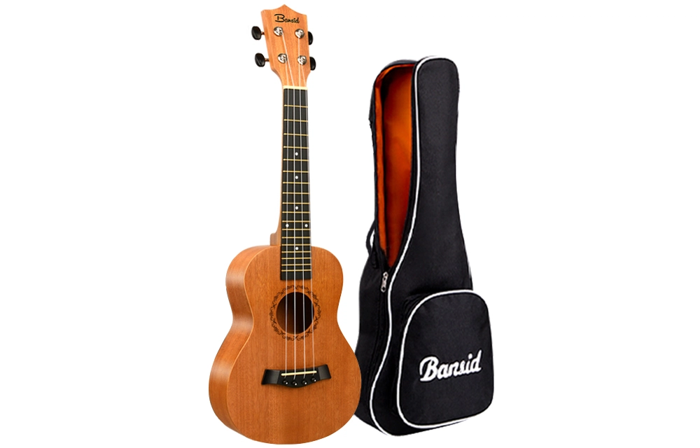BANSID 23
