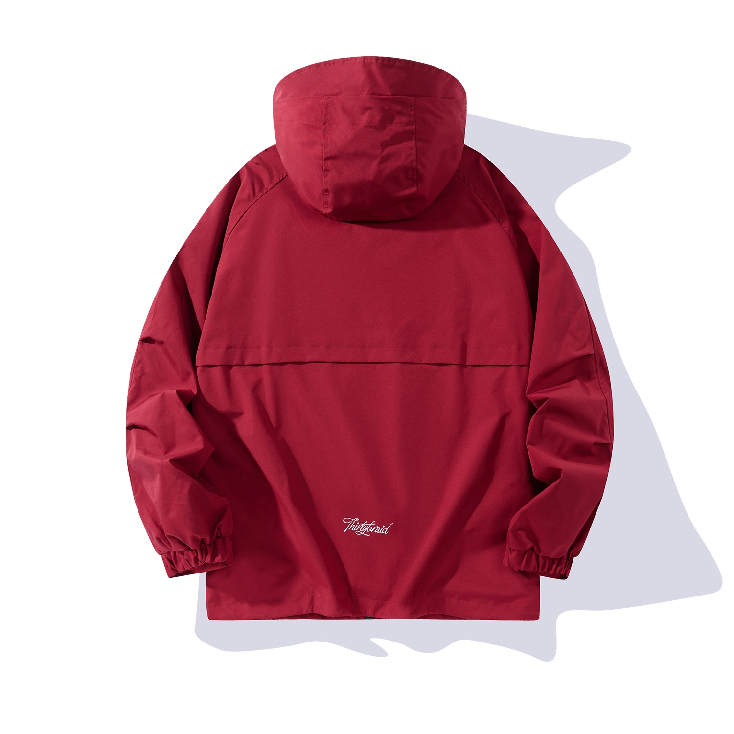 30BRAID Logo