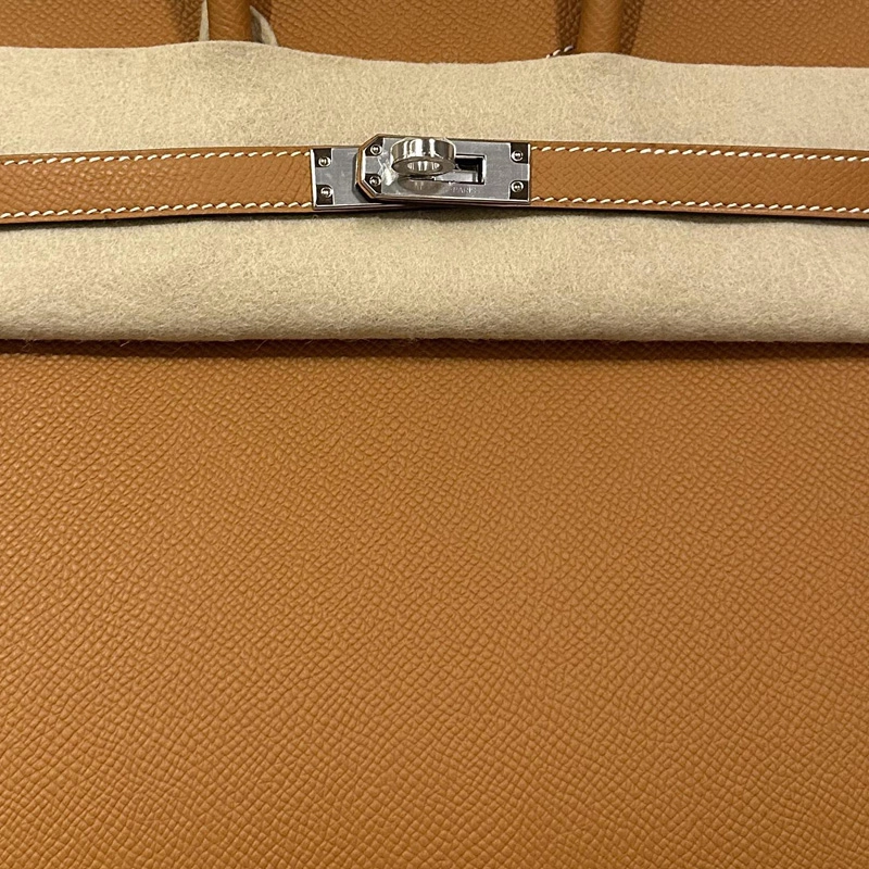 HERMES Birkin 25 Epsom Gold
