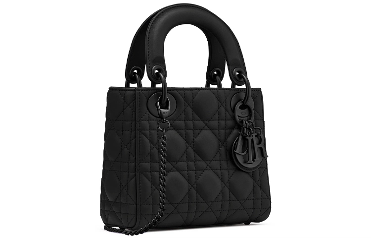 DIOR Lady Dior