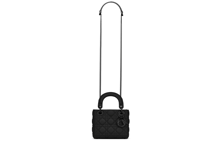 DIOR Lady Dior
