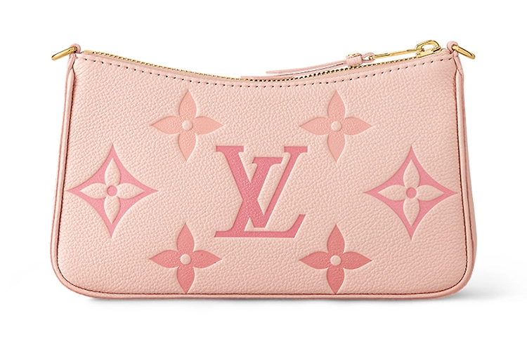 LOUIS VUITTON Easy pouch