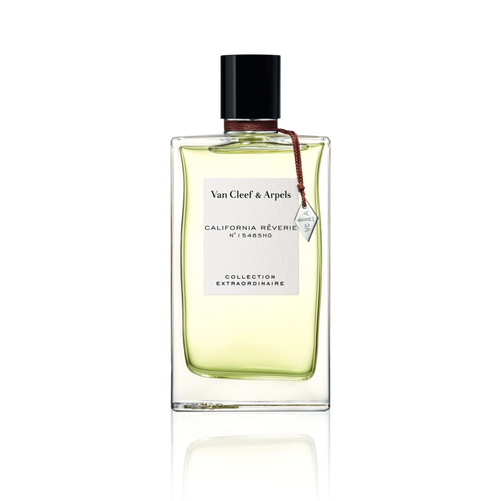 EDP45ml