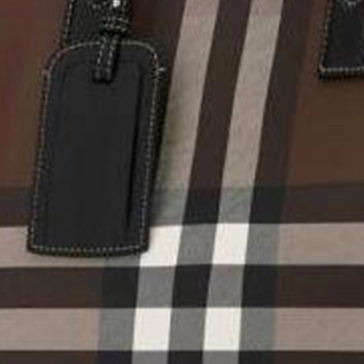 Burberry Tote