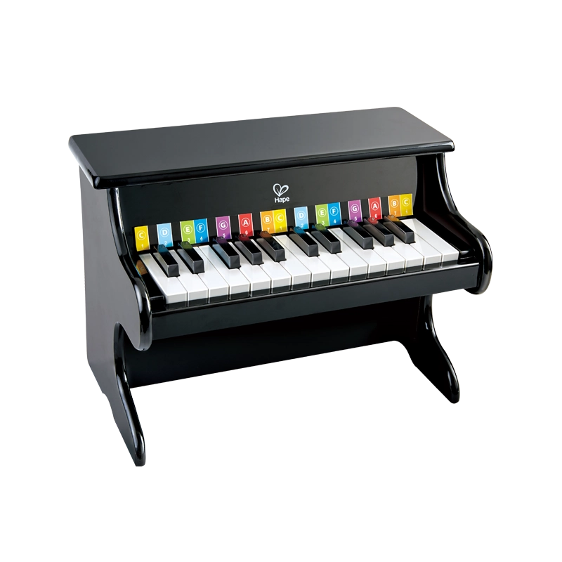 Hape 25 E8463