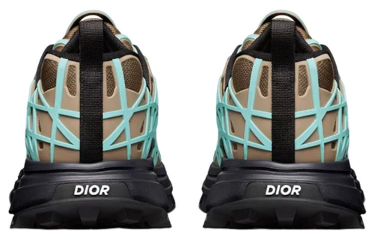 DIOR B31