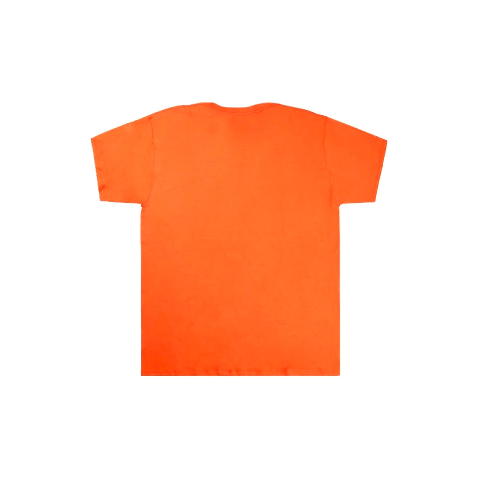 Champion T 2