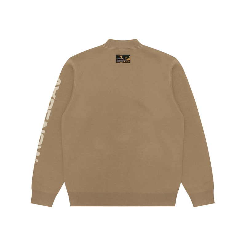 Aape V