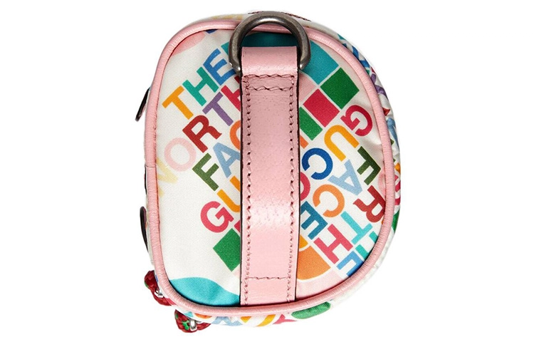 GUCCI x The North Face Logo