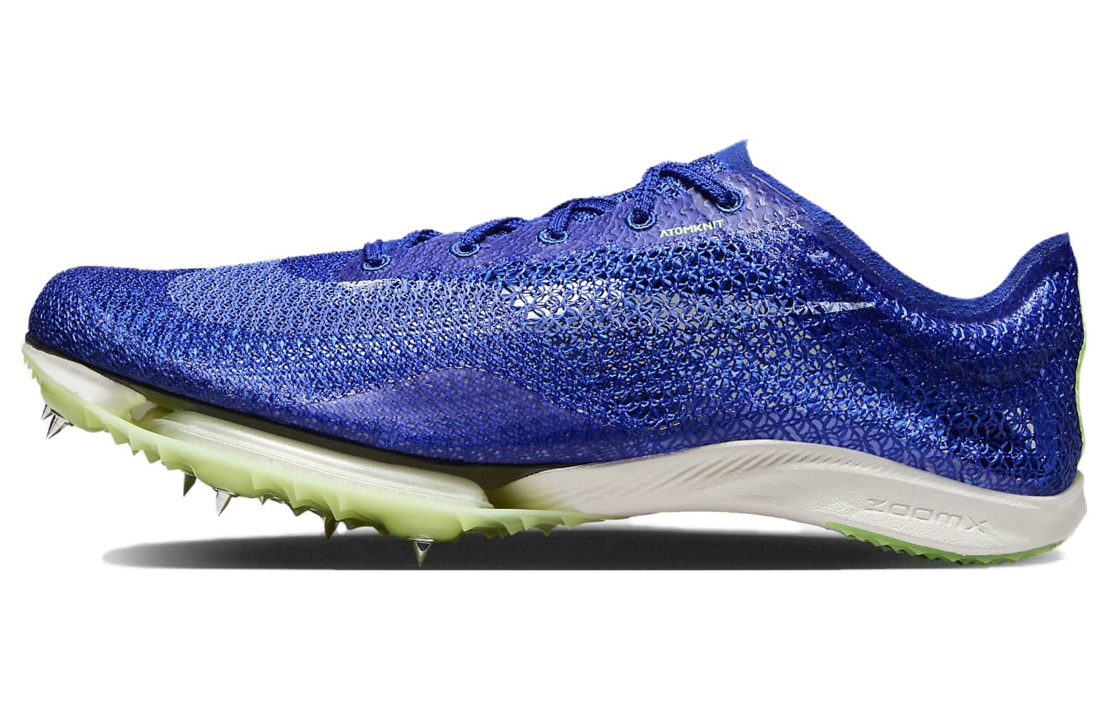 Nike Air Zoom Victory