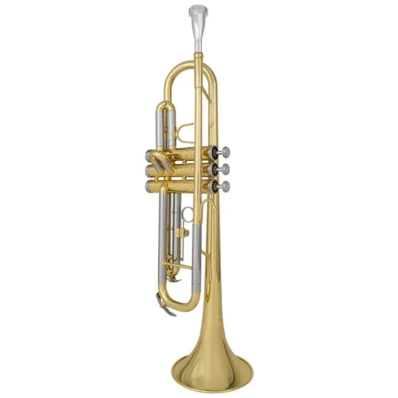 XINGHAI INSTRUMENT XT-100XT-120 B