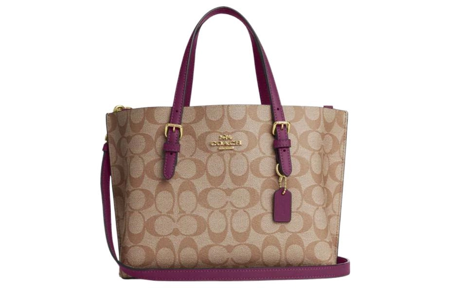 COACH Mollie 25 Tote