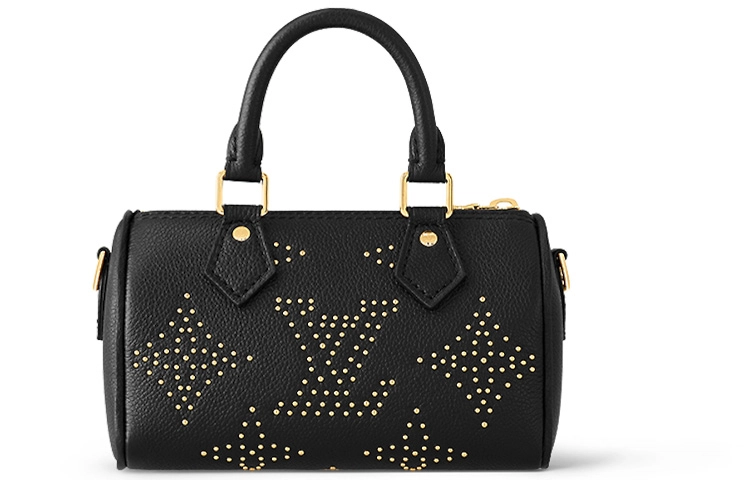 LOUIS VUITTON Nano Speedy