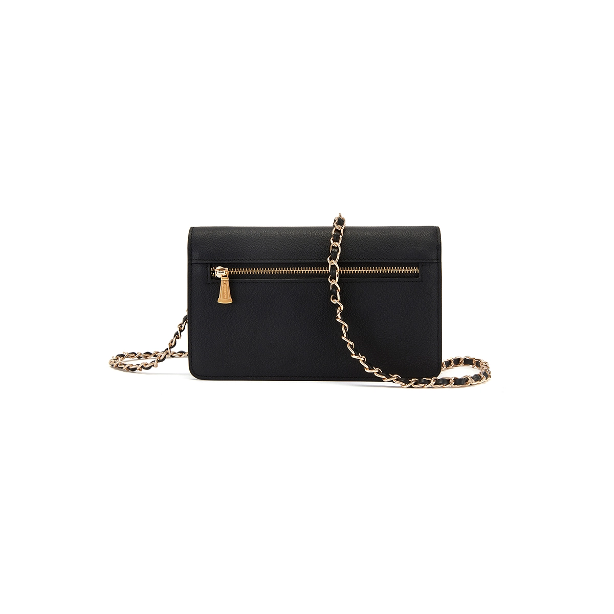 AQUASCUTUM