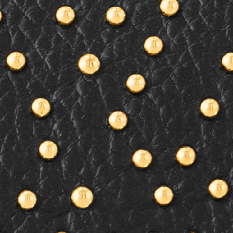 LOUIS VUITTON Nano Speedy