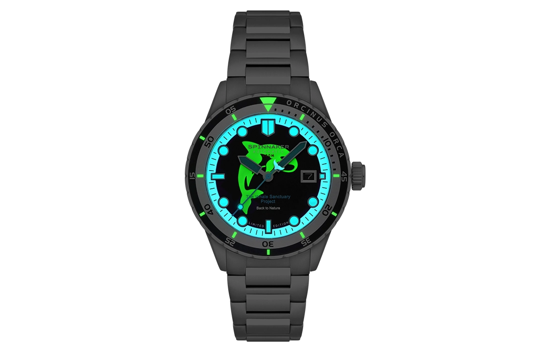 SPINNAKER HASS SP-5128-22