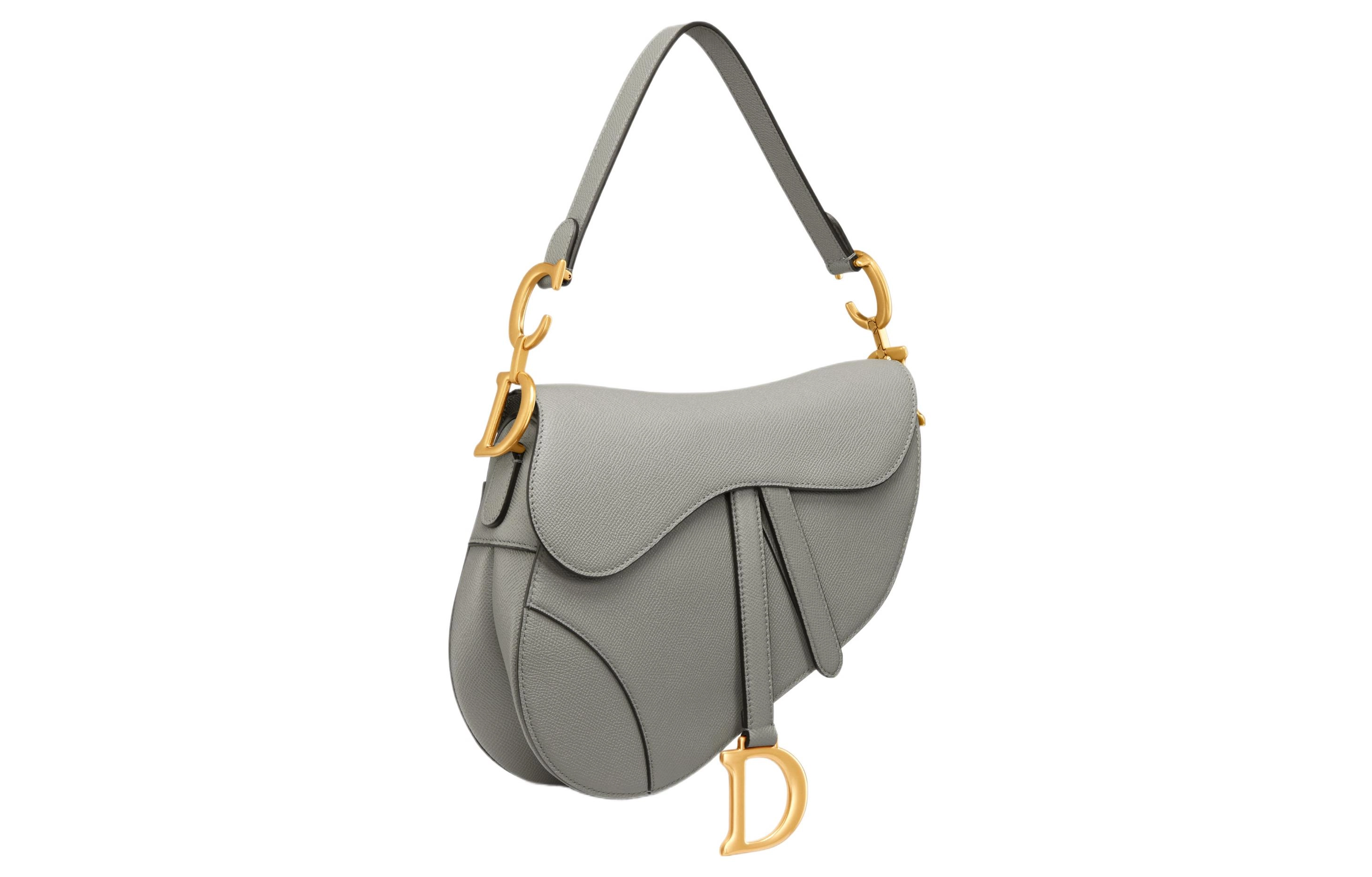 DIOR Saddle D