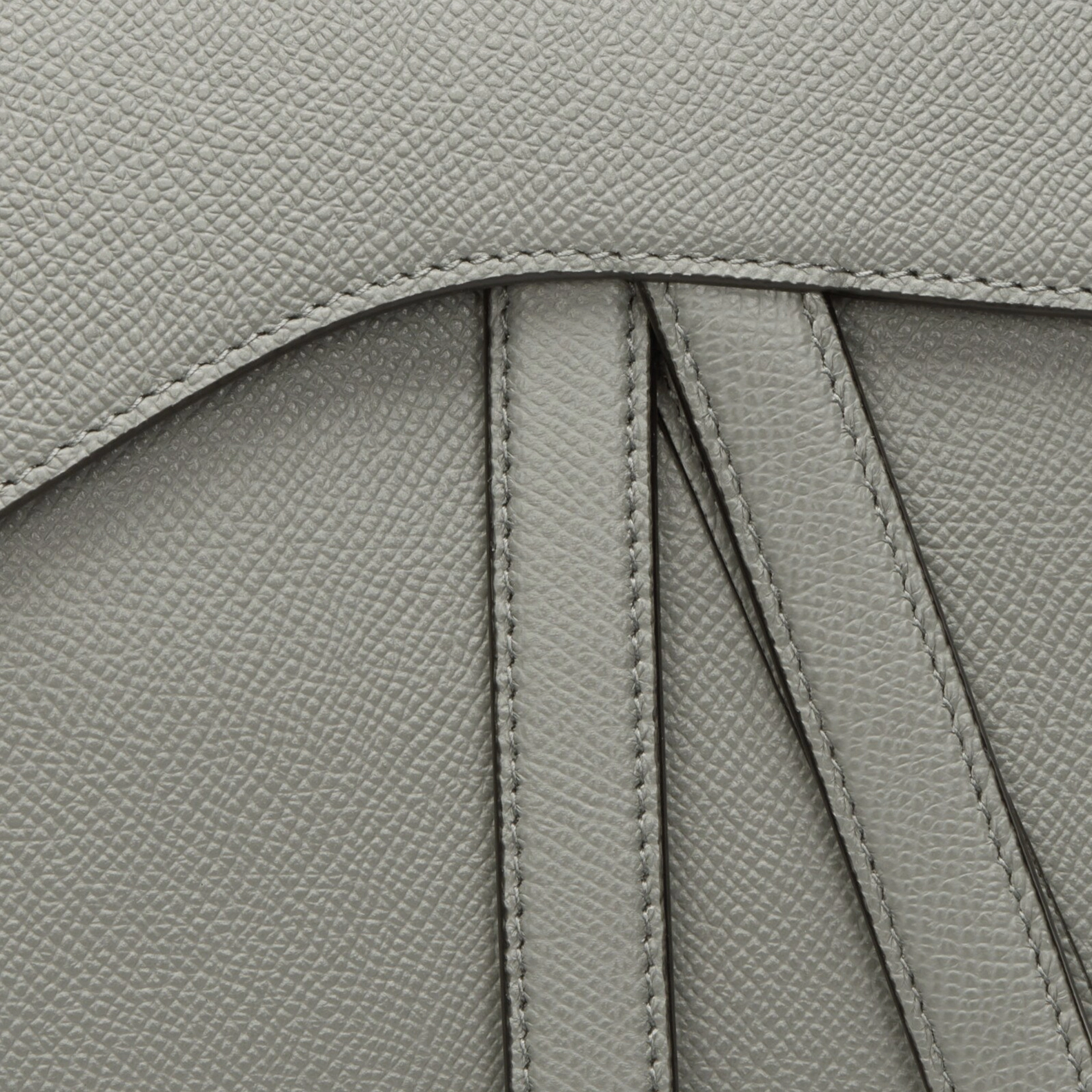 DIOR Saddle D