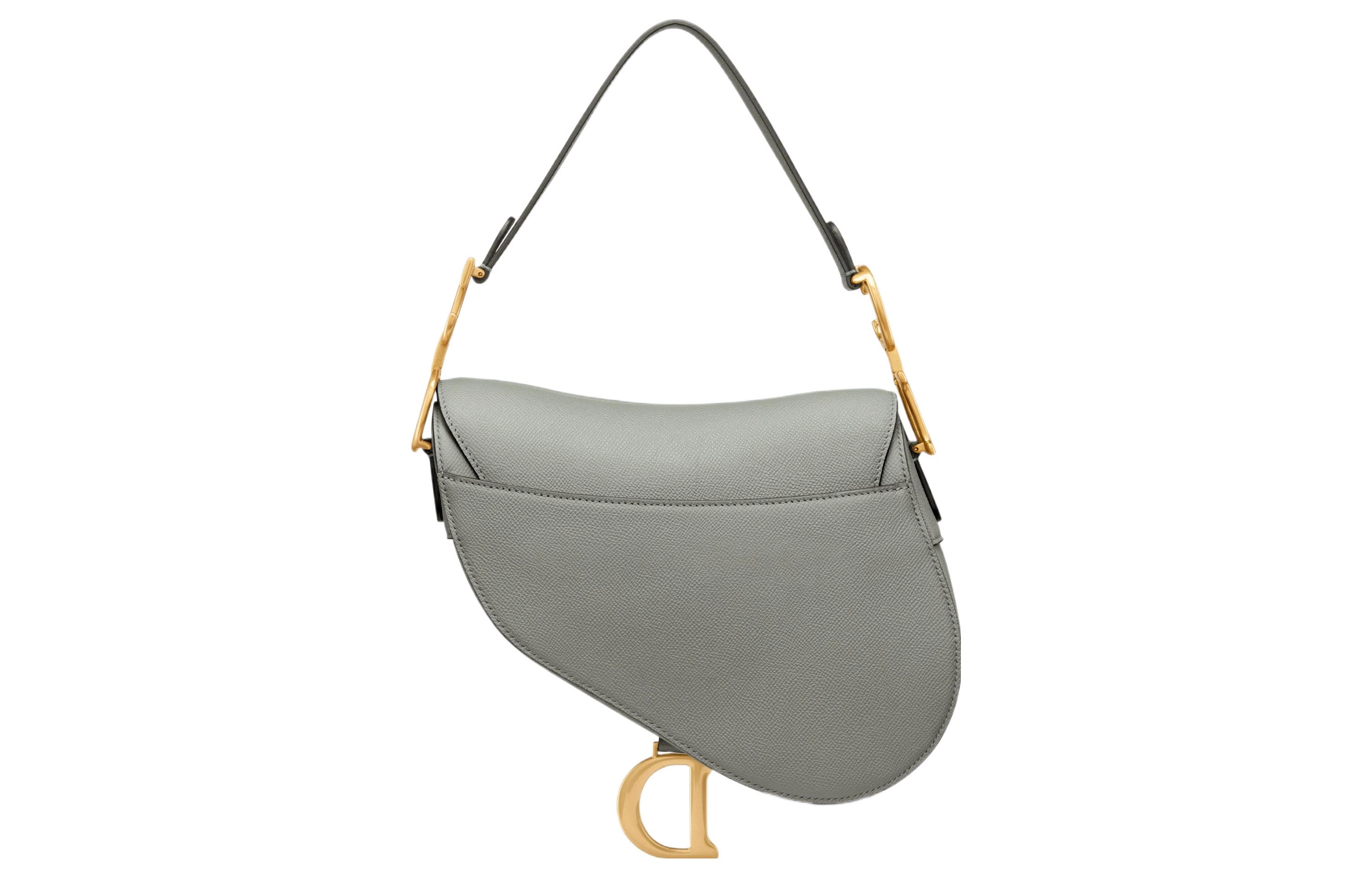 DIOR Saddle D
