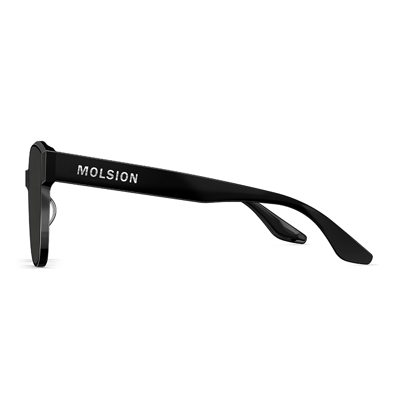 MOLSION