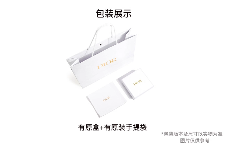 DIOR CD Signature CDLogo