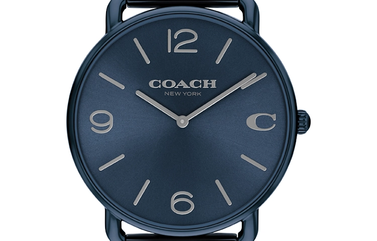 COACHELLIOT 41mm 14602650