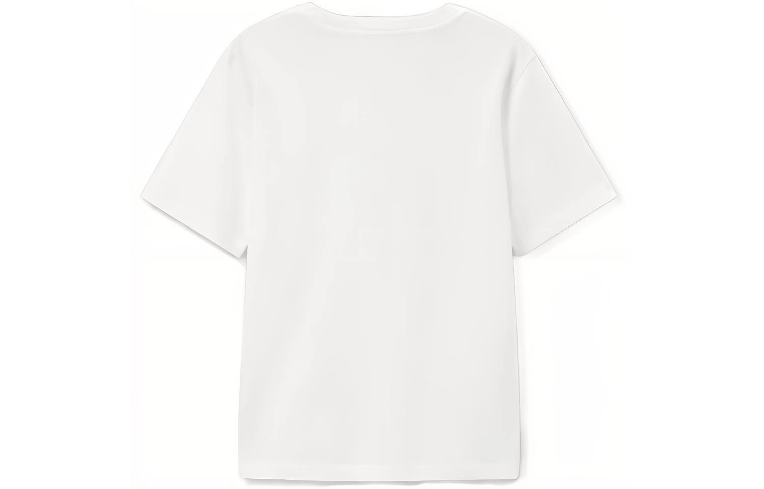 VISIONAIRE T