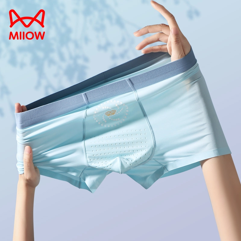 MIIOW 4