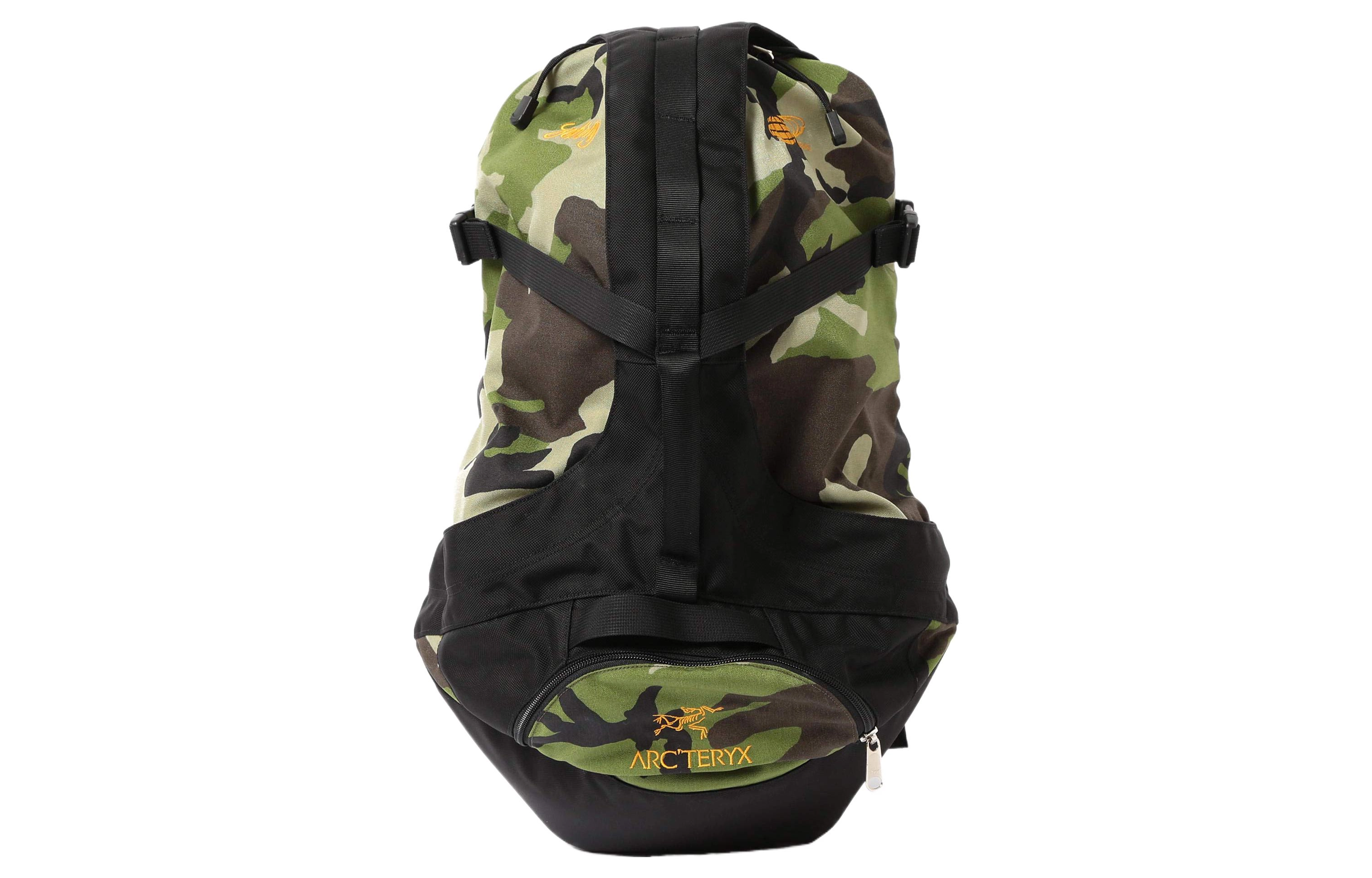 Arcteryx x Beams