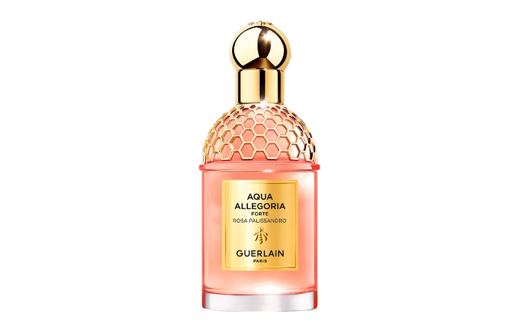 EDP 75ml125ml2023