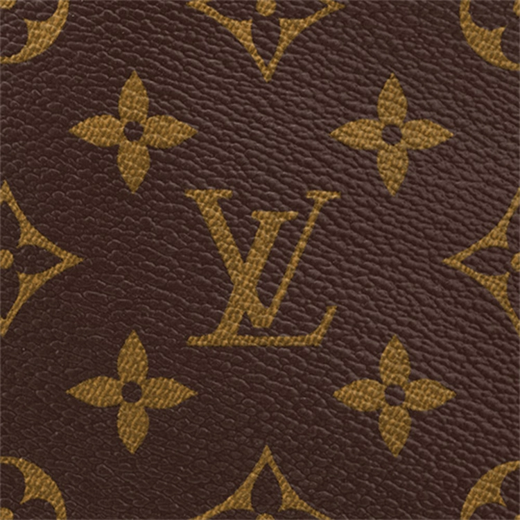 LOUIS VUITTON Carryall PM