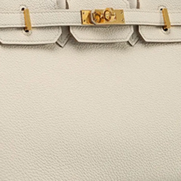 HERMES Birkin 25 TOGO 8L Beton