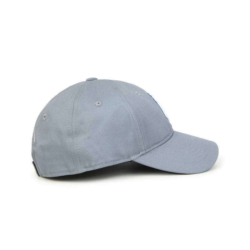 Aape