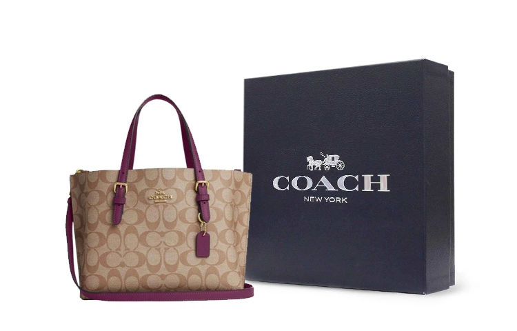 COACH Mollie 25 Tote