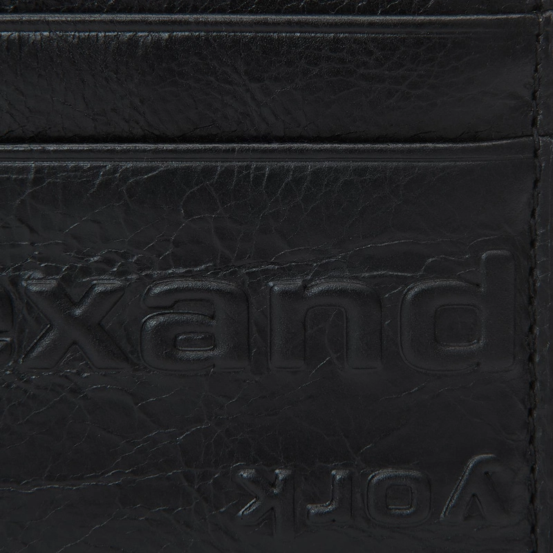 alexander wang