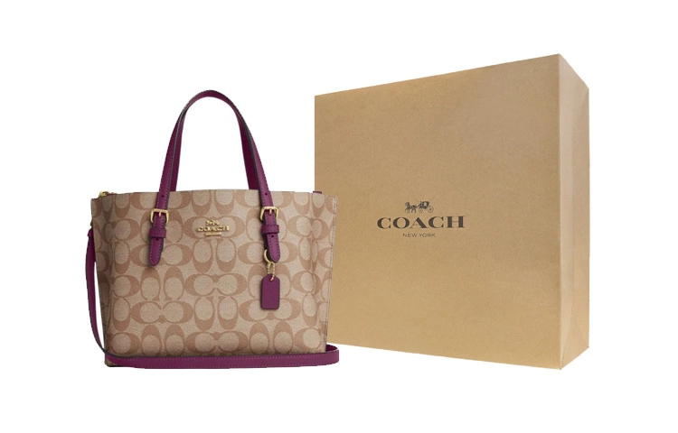 COACH Mollie 25 Tote