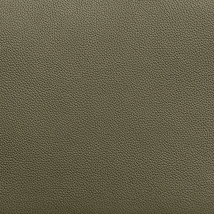 LOUIS VUITTON IPAD