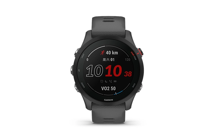 GARMIN Forerunner 255 -
