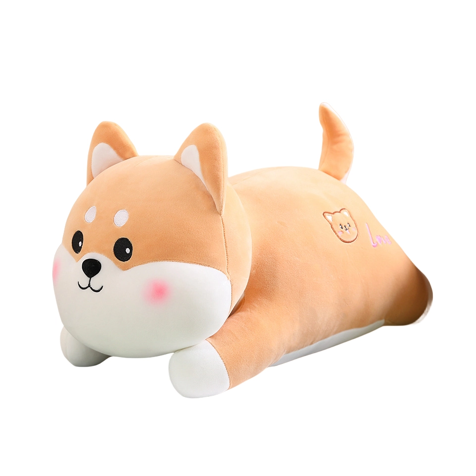 50cm60cm