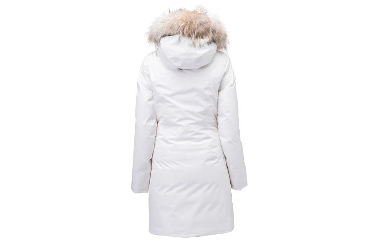 nobis SCOUT