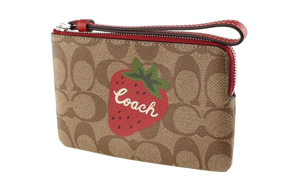 COACH Corner Zip 16