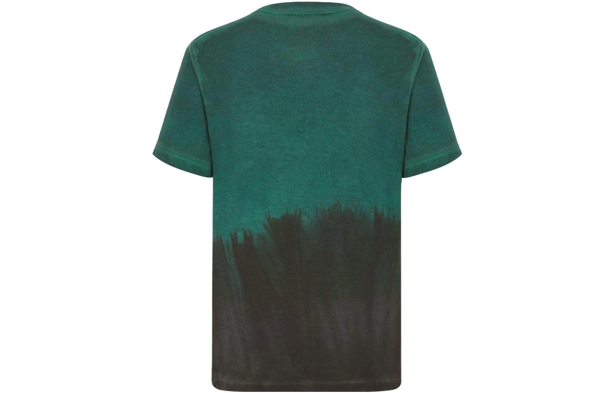 DIOR T