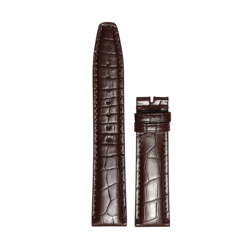 7 2022mm