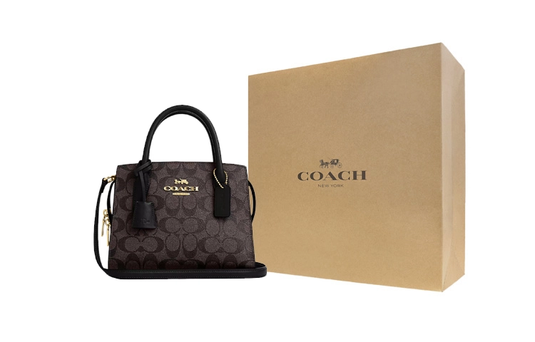COACH ANDREA CARRYALL 22 Tote