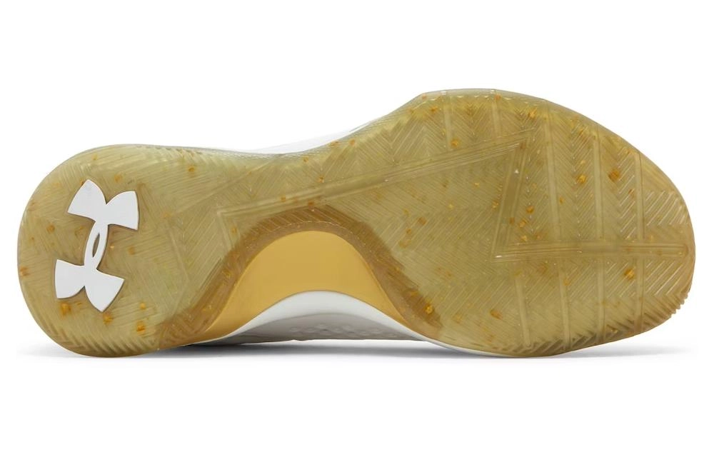 Under Armour Curry 1 Low Championship