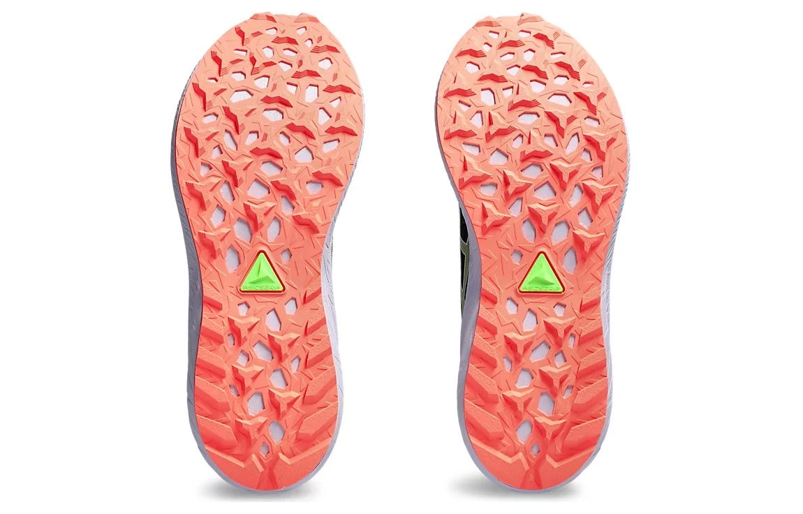 Asics Fuji Lite 4