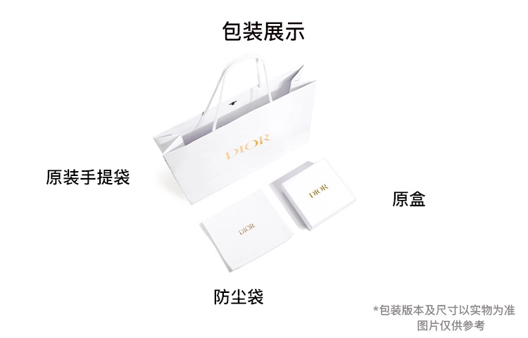 DIOR BookTote Tote