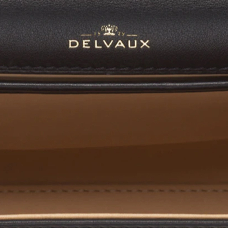 Delvaux Tempte